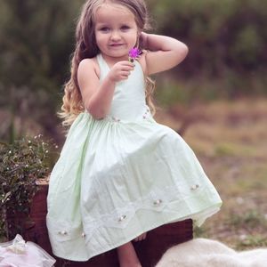 Dollcake Ducks in a Row dress sz 10